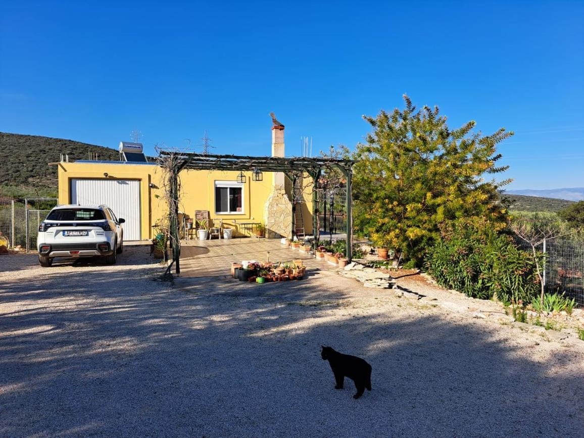 Grieks Vakantiehuis To Kalokairi Kougaíika Esterno foto